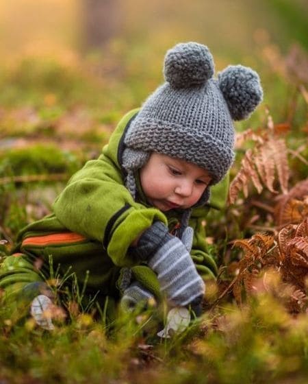 autumn image